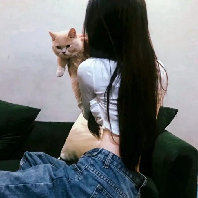舒适的麻木